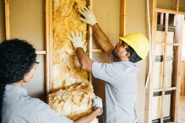 Types of Insulation We Offer in Polk City, FL